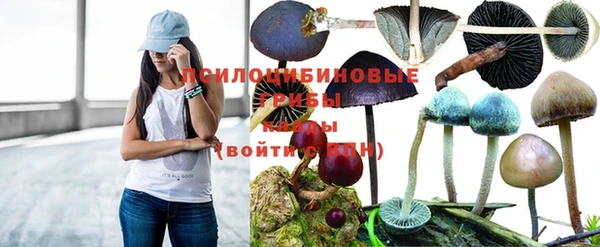 дурь Алзамай