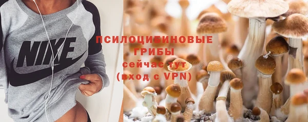 дурь Алзамай