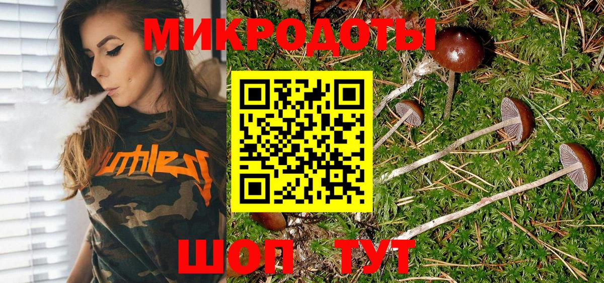 Псилоцибиновые грибы MAGIC MUSHROOMS  Вход с VPN  Псилоцибиновые грибы Psilocybe  Тында 